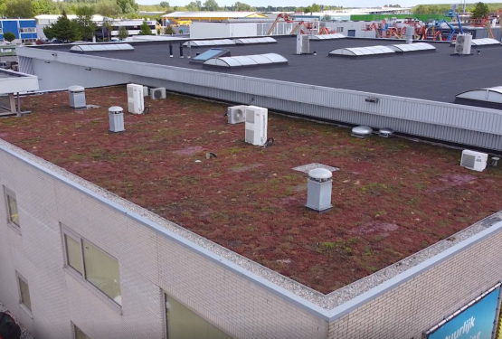 Sedumdak United Care Products